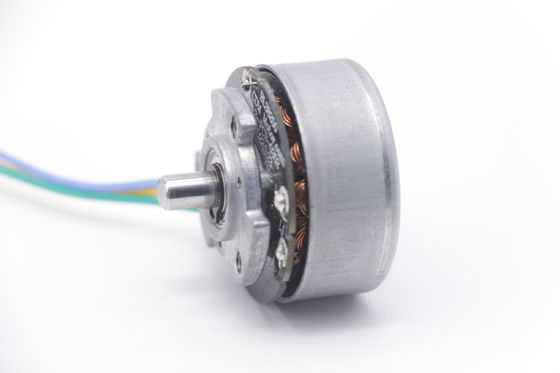 DBL3825 12V 24V BLDC Мотор высокого крутящего момента Fascial Gun Mini DC Brushless Motor