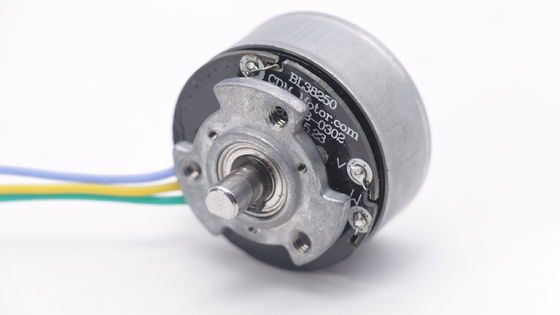 DBL3825 12V 24V BLDC Мотор высокого крутящего момента Fascial Gun Mini DC Brushless Motor