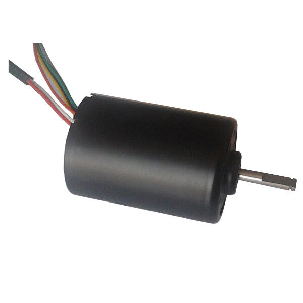 DBL4260 30W высокий крутящий момент постоянного тока без щетки Мотор водонасос 24 вольт BLDC Мотор